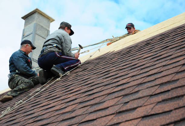 Roof Gutter Cleaning in Zephyrhills South, FL
