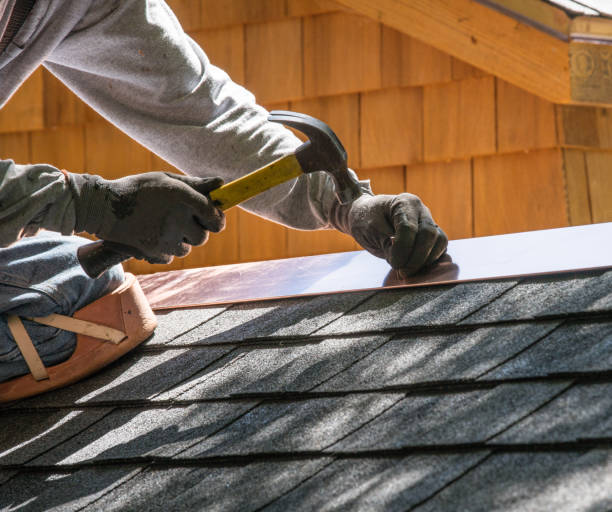 Best Sealant for Roof  in Zephyrhills South, FL